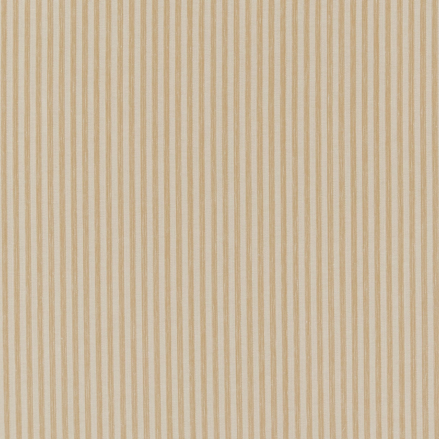 Ashley Wilde Effie Maize