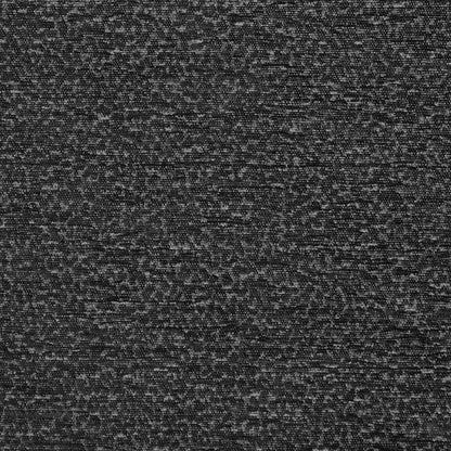 iLiv Elutor Charcoal