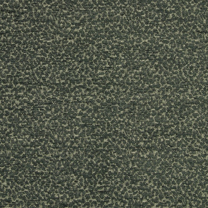 iLiv Elutor Evergreen