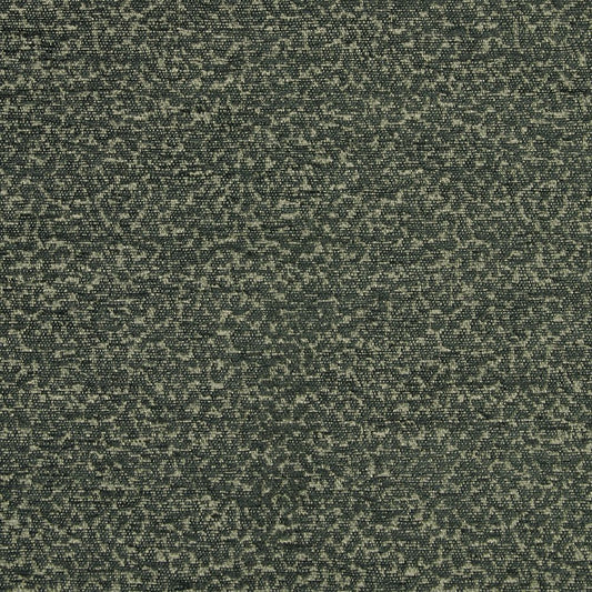 iLiv Elutor Evergreen