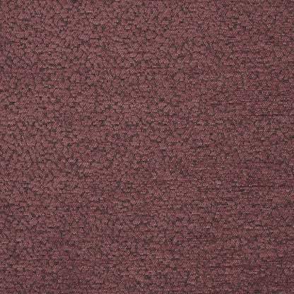 iLiv Elutor Woodrose