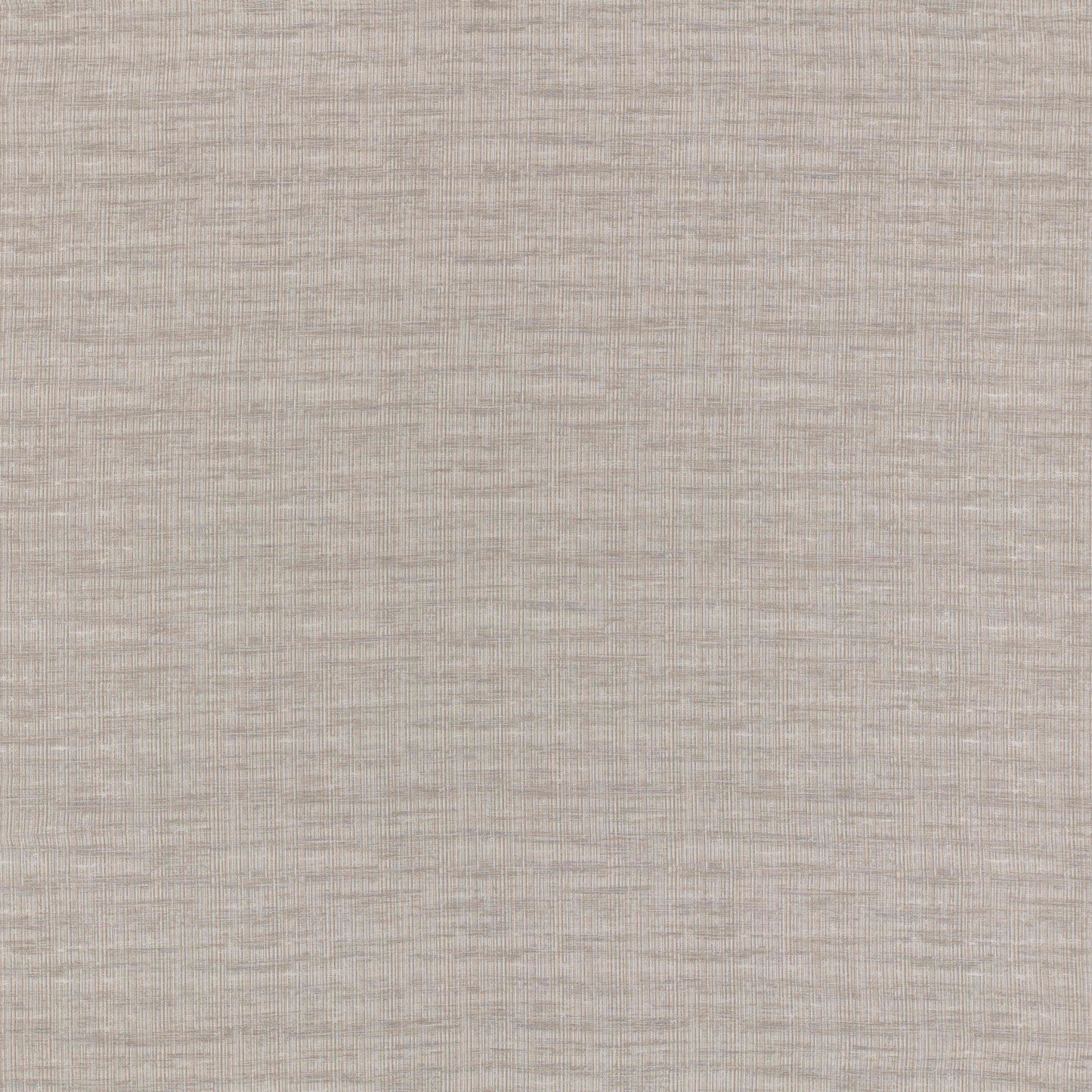 Ashley Wilde Esme Oyster