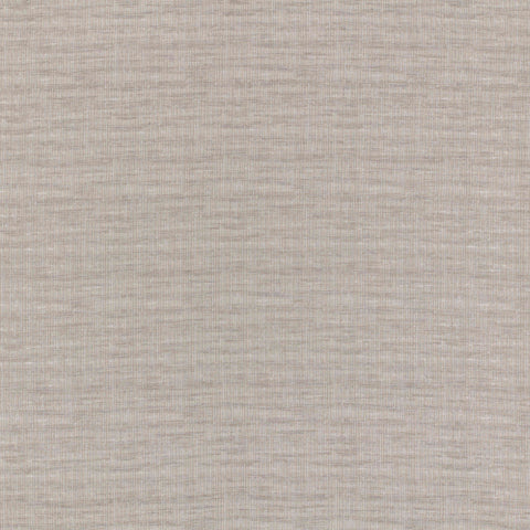 Ashley Wilde Esme Oyster