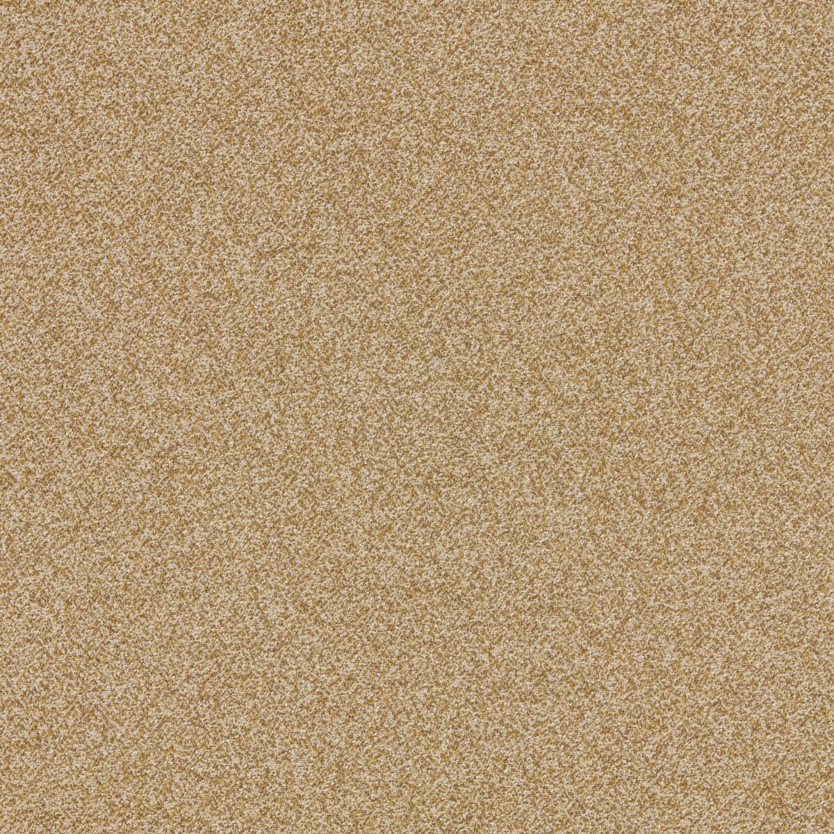 Ashley Wilde Ezri Ochre