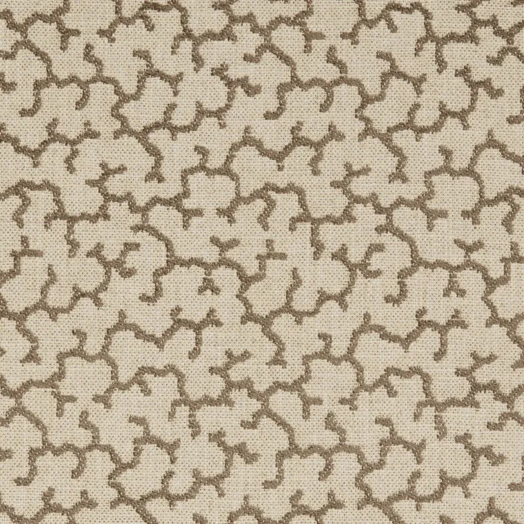 Warner House Allerton Cocoa