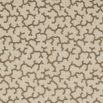 Warner House Allerton Cocoa