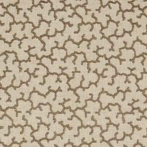 Warner House Allerton Cocoa