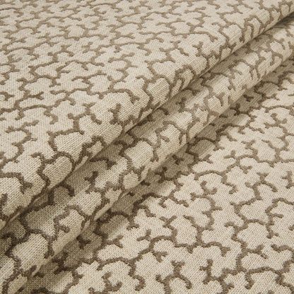 Warner House Allerton Cocoa