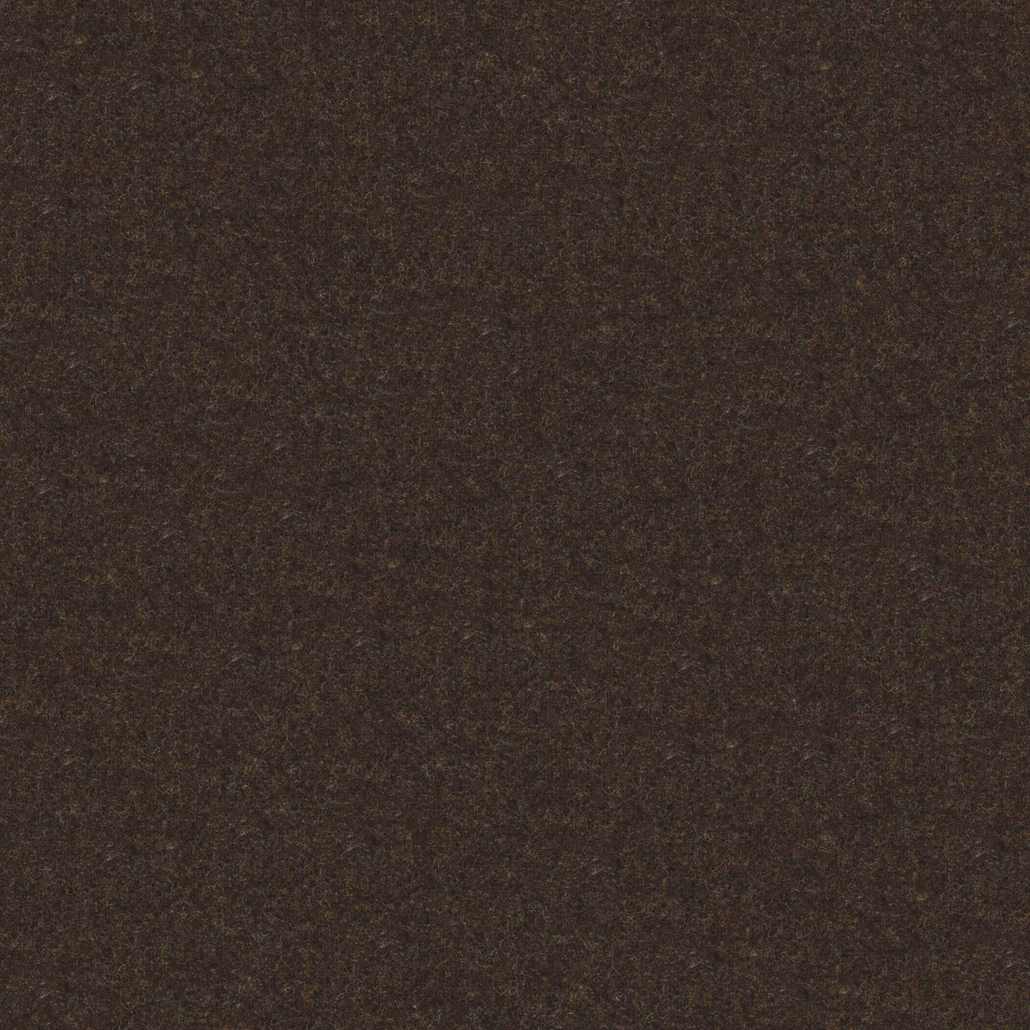 Warner House Ambrogio Bark