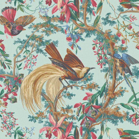 Warner House Birdsong Sky