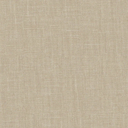 Warner House Campbell Bone