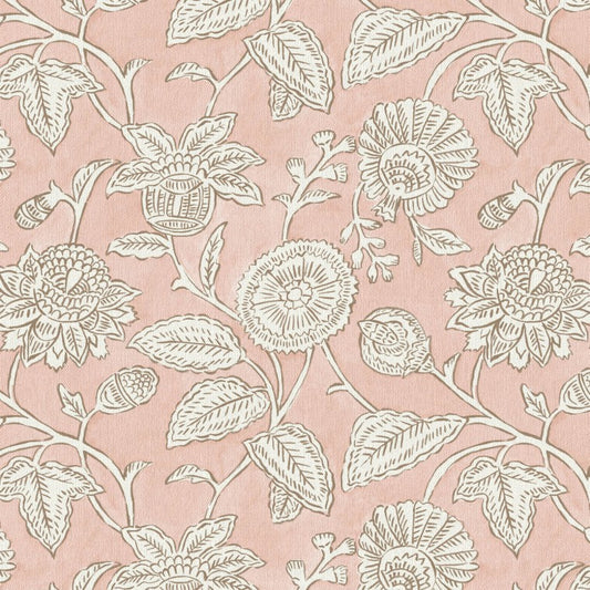 The Pure Edit Chaitri Rose