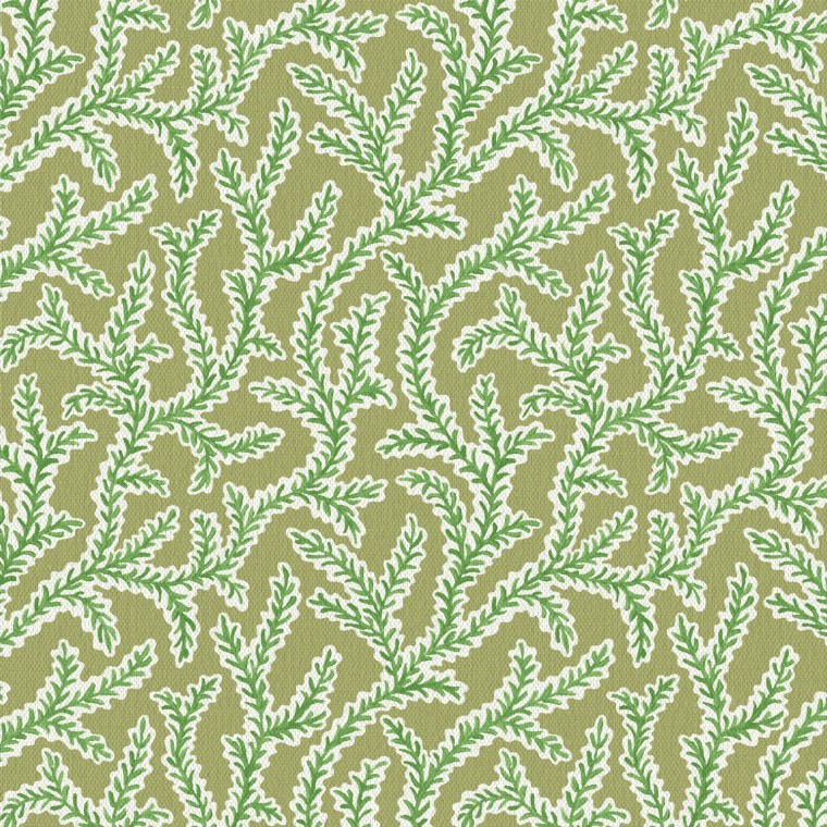 Warner House Emeline Fern