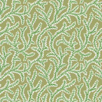 Warner House Emeline Fern