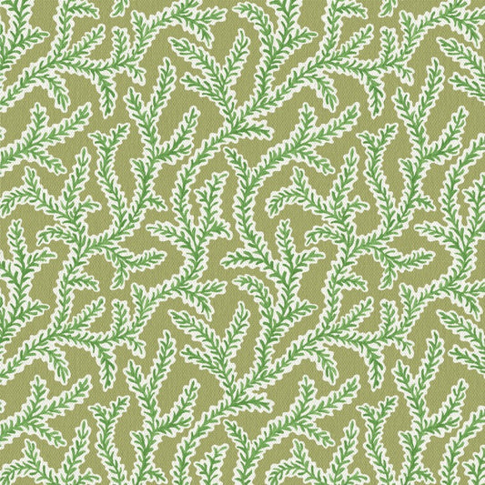Warner House Emeline Fern