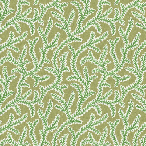 Warner House Emeline Fern