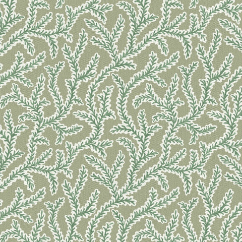 Warner House Emeline Sage