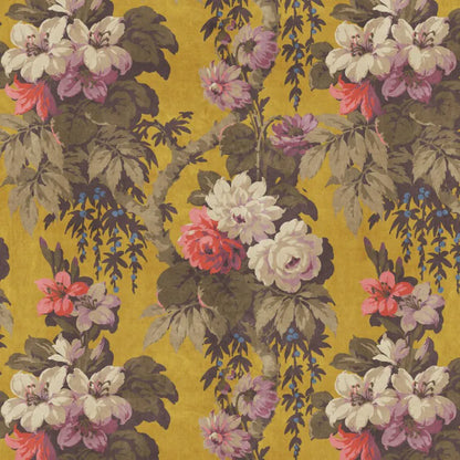 Warner House Florence Ochre