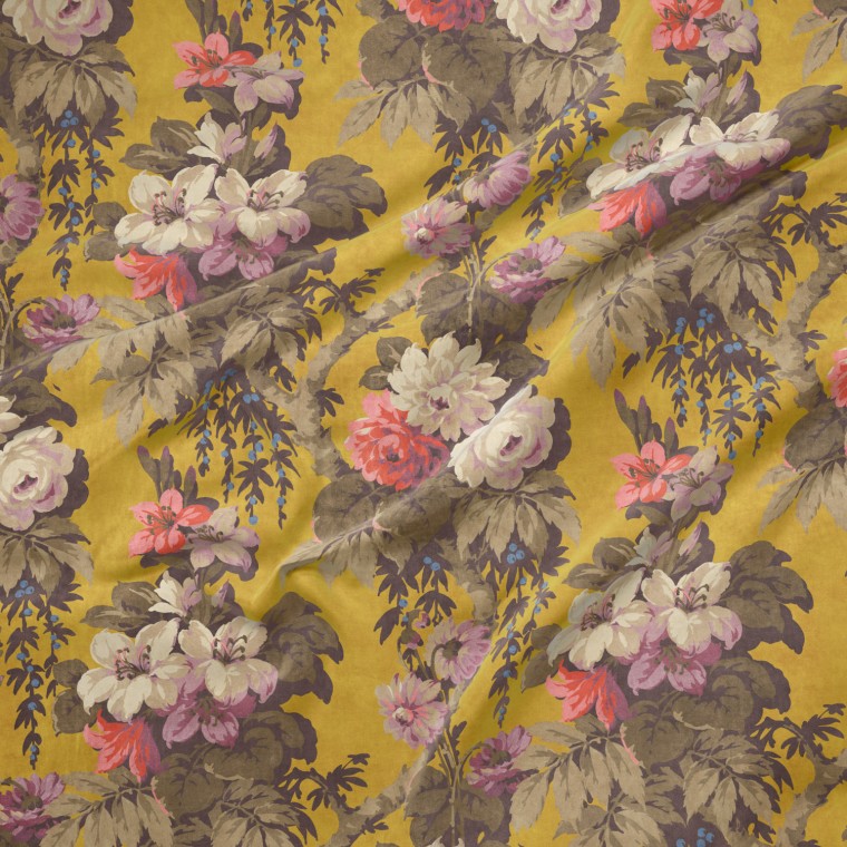 Warner House Florence Ochre