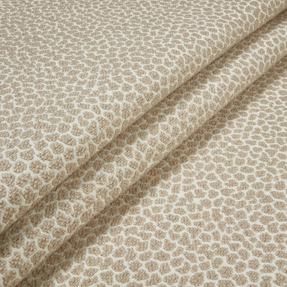 Warner House Howard Taupe