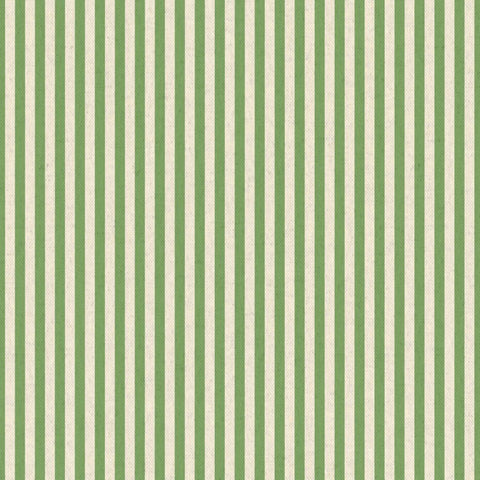 The Pure Edit Ischia Cactus