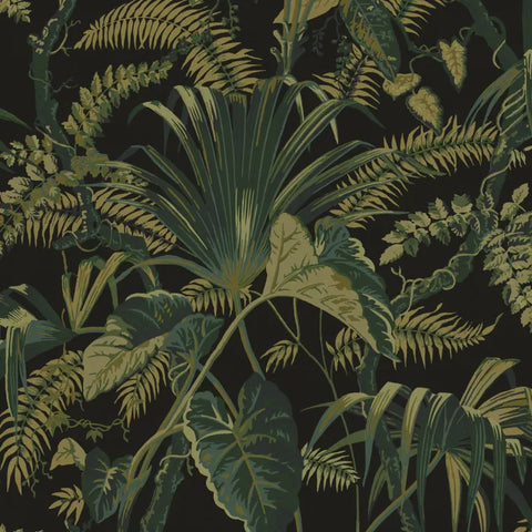 Warner House Guadeloupe Noir