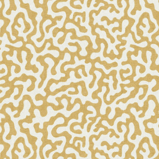 The Pure Edit Pakko Honey