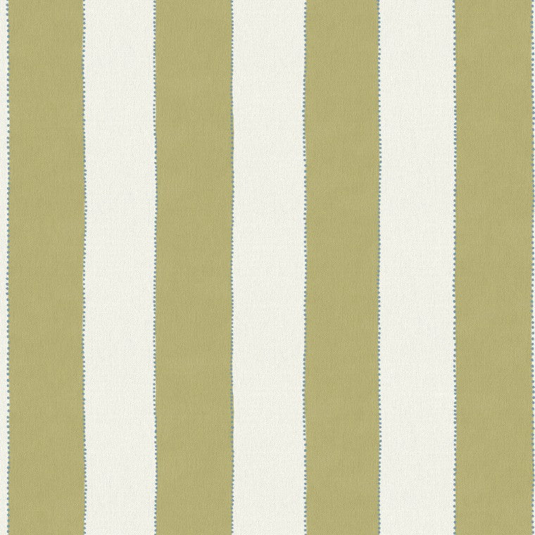 The Pure Edit Rama Olive