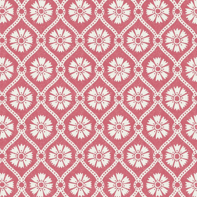 Warner House Samira Raspberry