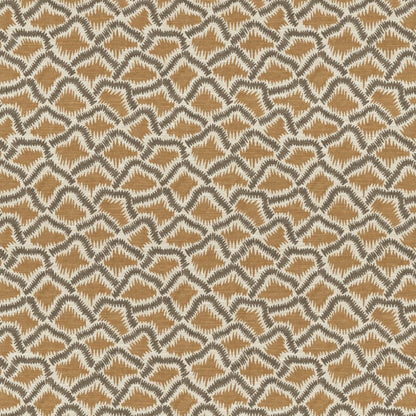 The Pure Edit Wadi Ginger