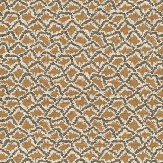 The Pure Edit Wadi Ginger