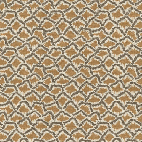 The Pure Edit Wadi Ginger