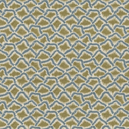 The Pure Edit Wadi Olive