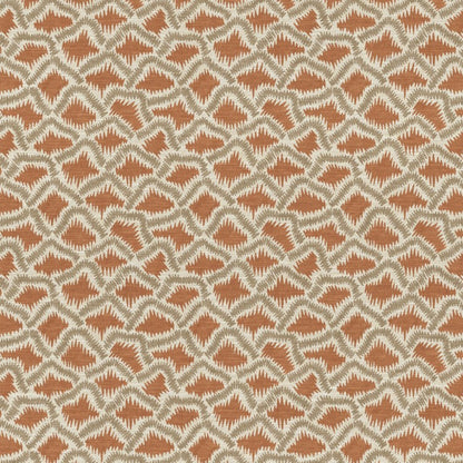 The Pure Edit Wadi Spice