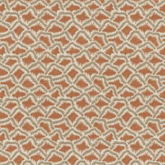 The Pure Edit Wadi Spice