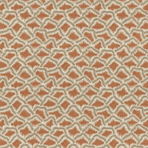 The Pure Edit Wadi Spice