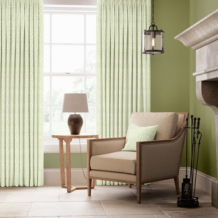 Warner House Ziya Fern