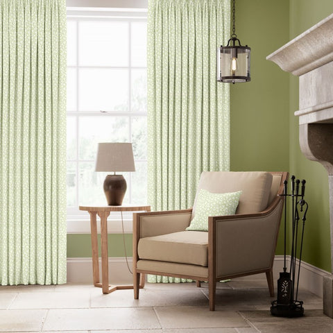 Warner House Ziya Fern