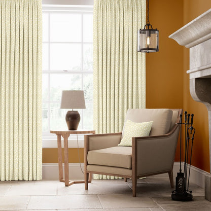 Warner House Ziya Gold