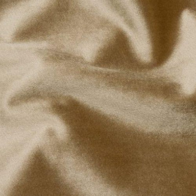 Fryetts Glamour Oyster