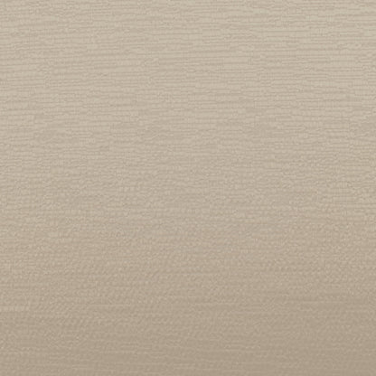 Ashley Wilde Glint Champagne