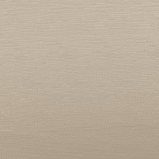 Ashley Wilde Glint Champagne