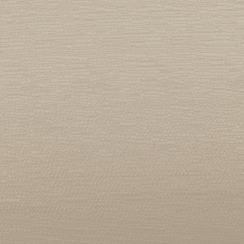 Ashley Wilde Glint Champagne