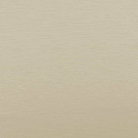 Ashley Wilde Glint Cream