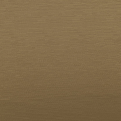 Ashley Wilde Glint Gold