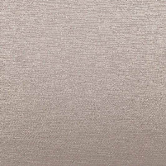 Ashley Wilde Glint Shell