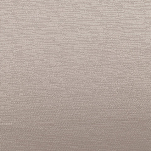 Ashley Wilde Glint Shell