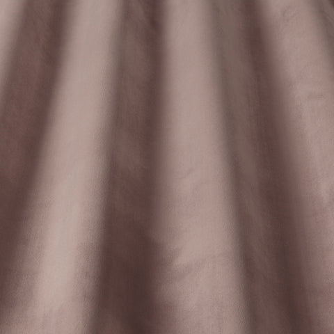 iLiv Hampton Antique Rose