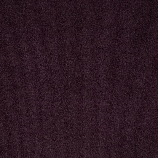 iLiv Hampton Blackberry