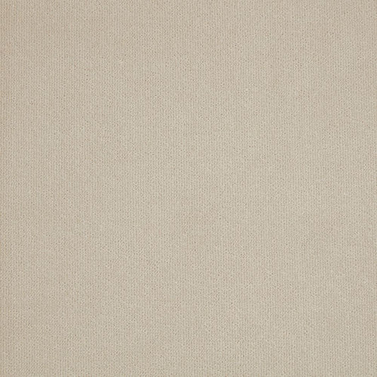 iLiv Hampton Silver Birch